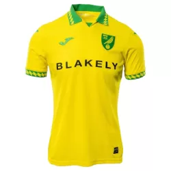 Norwich City Shirt Heren Thuis 2025/26 Norwich City Shirt Heren Thuis 2025/26