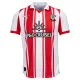 Southampton Shirt Heren Thuis 2025/26 Southampton Shirt Heren Thuis 2025/26