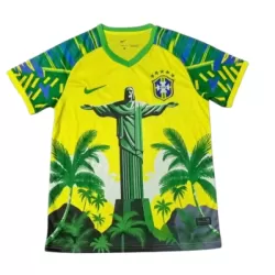 Brazilië Shirt Heren 2025 Groene - Speciaal Brazilië Shirt Heren 2025 Groene - Speciaal