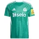 Newcastle United Shirt Heren Uit 2025/26 Newcastle United Shirt Heren Uit 2025/26