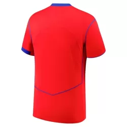 Paris Saint-Germain Shirt Heren Derde 2025/26