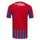 Colo-Colo Shirt Heren Derde 2025/26