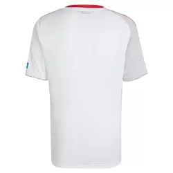 FC Nurnberg Shirt Heren Uit 2025/26