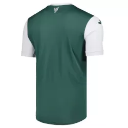 Hibernian Shirt Heren Thuis 2025/26