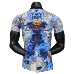 Japan x DragonBall Shirt Heren 2025 - Speciaal