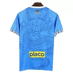 Santos FC Dragon Shirt Heren 2025/26 Blauwe