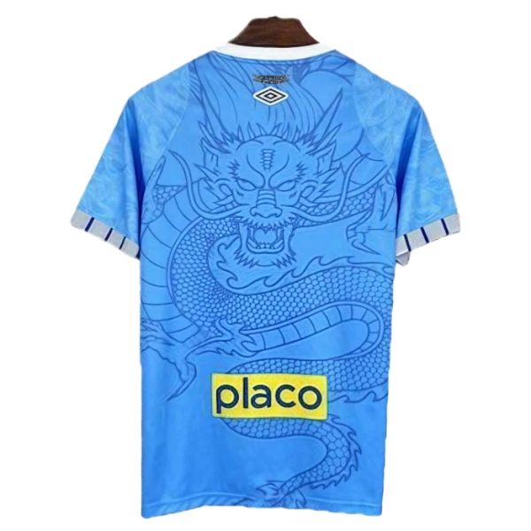 Santos FC Dragon Shirt Heren 2025/26 Blauwe