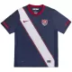 USA 2010 Shirt Heren Uit Retro USA 2010 Shirt Heren Uit Retro