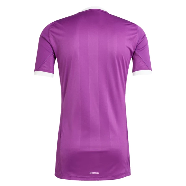 Aston Villa Keeper Shirt Heren 2025/26 Purper