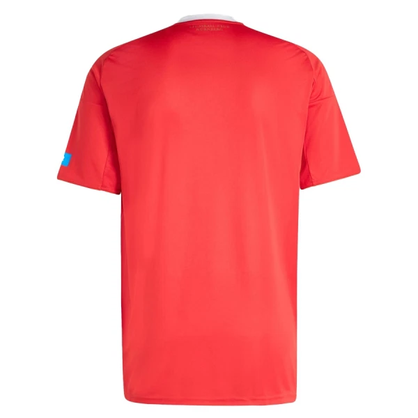 FC Nurnberg Shirt Heren Derde 2025/26