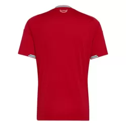 Wales Shirt Heren Thuis WK 2026