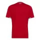 Wales Shirt Heren Thuis WK 2026