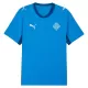 IJsland Shirt Heren Thuis WK 2026