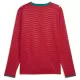 Portugal Shirt Heren Thuis WK 2026 Lange Mouw