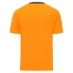 Cardiff City Shirt Heren Derde 2025/26
