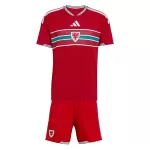 Wales Tenue Kind Thuis WK 2026