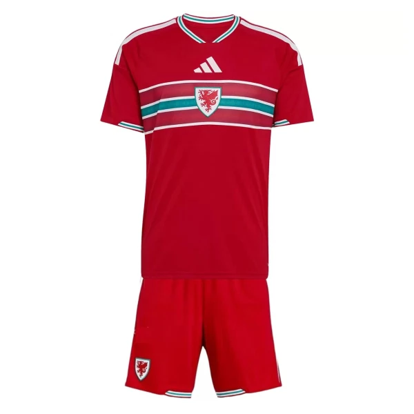 Wales Tenue Kind Thuis WK 2026