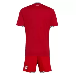 Wales Tenue Kind Thuis WK 2026