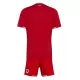 Wales Tenue Kind Thuis WK 2026