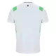 Ierland Shirt Heren Uit 2026/27