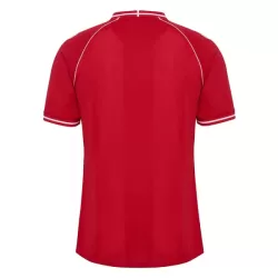 Denemarken Tenue Kind Thuis WK 2026