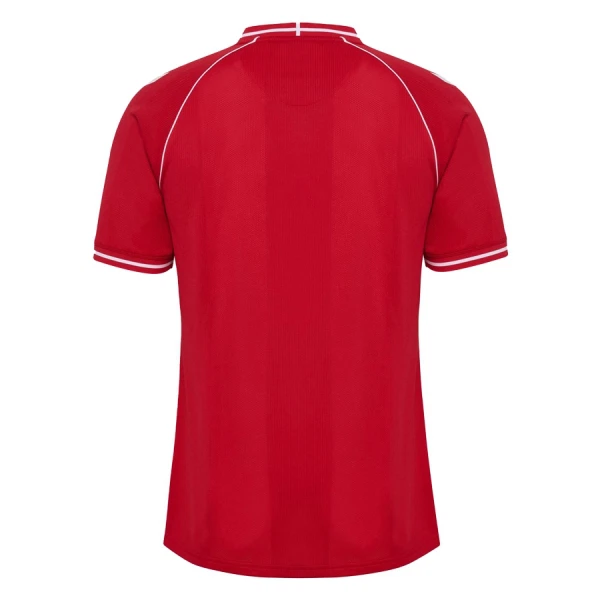 Denemarken Tenue Kind Thuis WK 2026