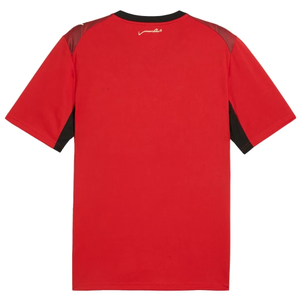 Egypte Shirt Heren Thuis WK 2026