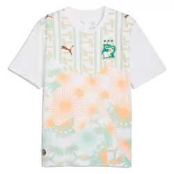Ivoorkust Shirt Heren Uit WK 2026