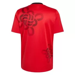 Manchester United Cultural Story Shirt Heren 2025/26 - Speciaal