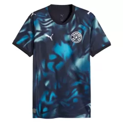 Paraguay Shirt Heren Uit WK 2026