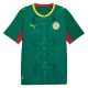 Senegal Shirt Heren Uit WK 2026