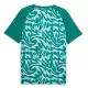 Portugal Pre-Match Shirt Heren WK 2026 Groene