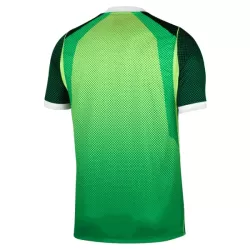 Nigeria Shirt Heren Thuis 2026/27