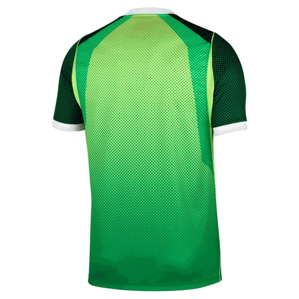 Nigeria Shirt Heren Thuis 2026/27