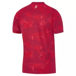 Polen Shirt Heren Uit 2026
