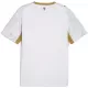 Tsjechië Shirt Heren Uit WK 2026