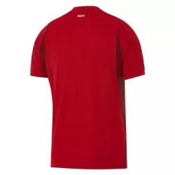 Turkije Tenue Kind Thuis WK 2026