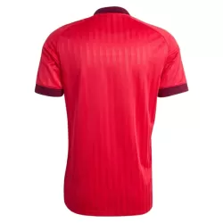 Olympique Lyon Shirt Heren Uit 2026/27