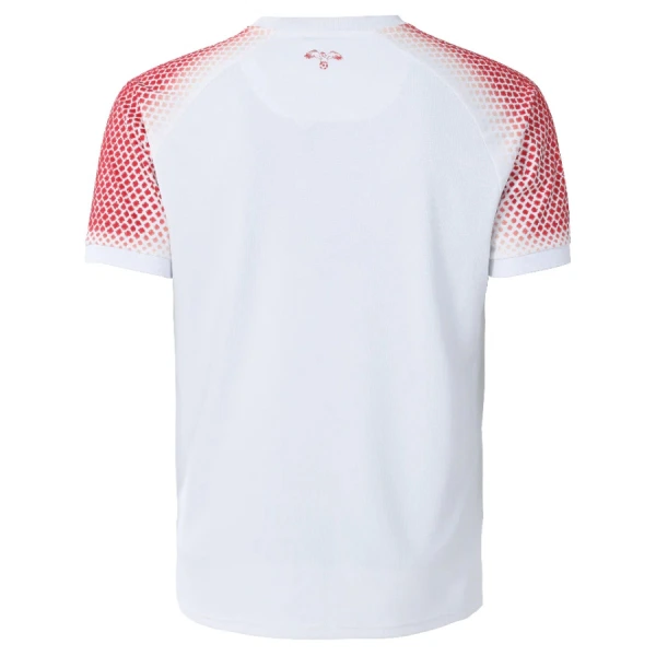 Shirt Heren Thuis Jordan WK 2026