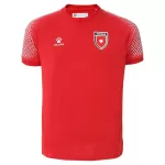 Shirt Heren Uit Jordan WK 2026