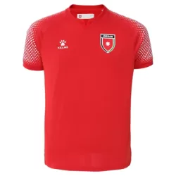 Shirt Heren Uit Jordan WK 2026