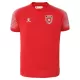 Shirt Heren Uit Jordan WK 2026