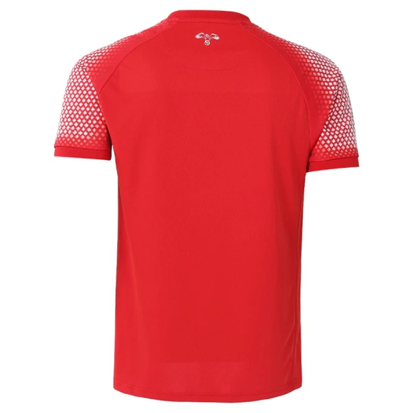 Shirt Heren Uit Jordan WK 2026