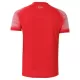 Shirt Heren Uit Jordan WK 2026