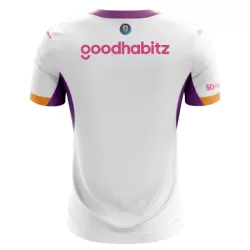 PSV Eindhoven Shirt Heren Uit 2026/27
