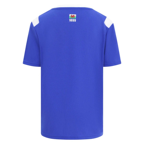 Cardiff City Shirt Heren Thuis 2026/27