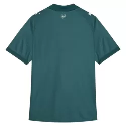 Fluminense FC Shirt Heren Derde 2026/27