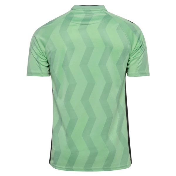 AS Saint-Etienne Shirt Heren Derde 2026/27