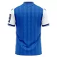 TSG 1899 Hoffenheim Shirt Heren Thuis 2026/27